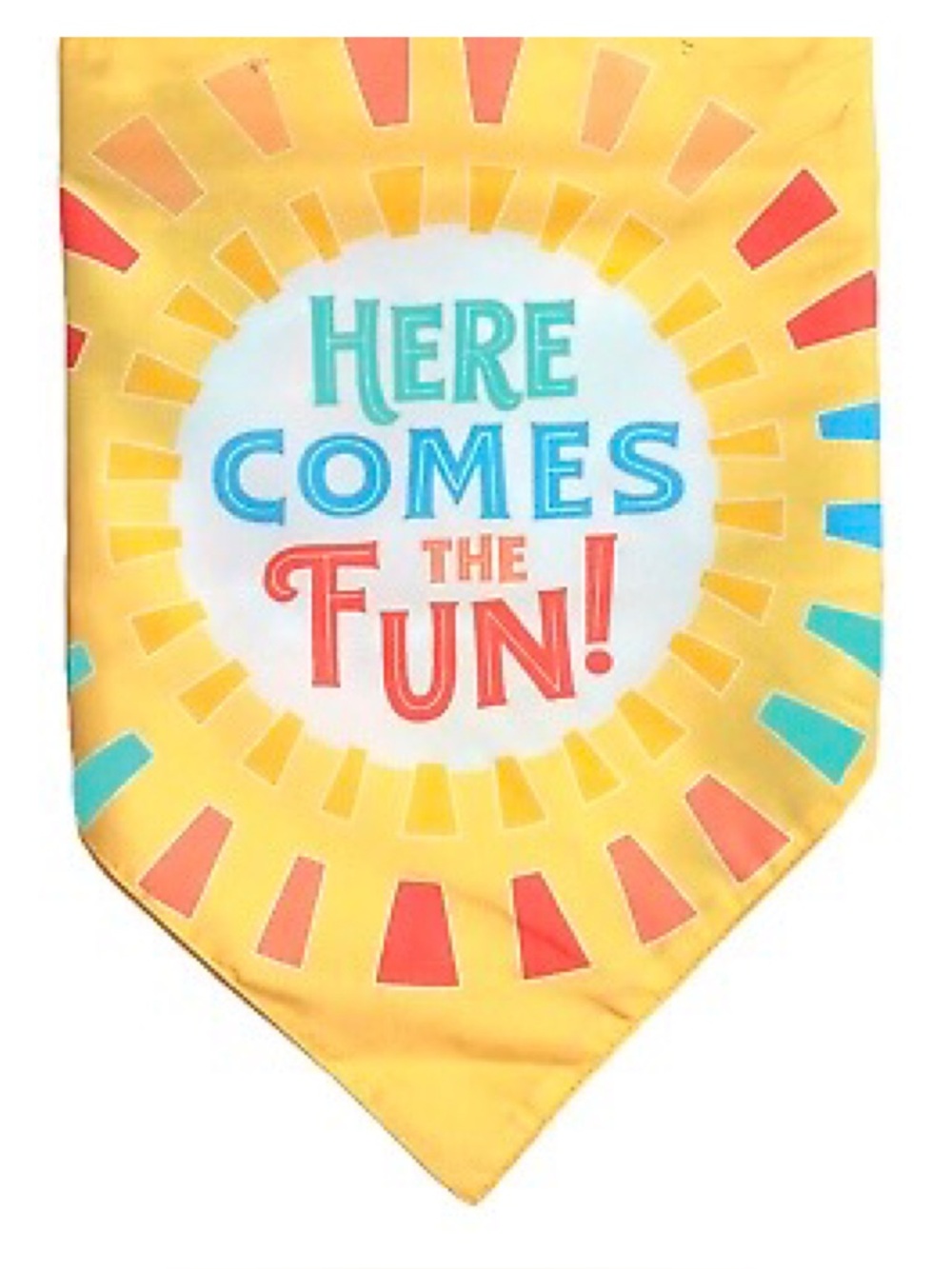 Sun Squad Reversible Pet Bandana HERE COMES THE FUN! Tie-Dye Printed. One Size